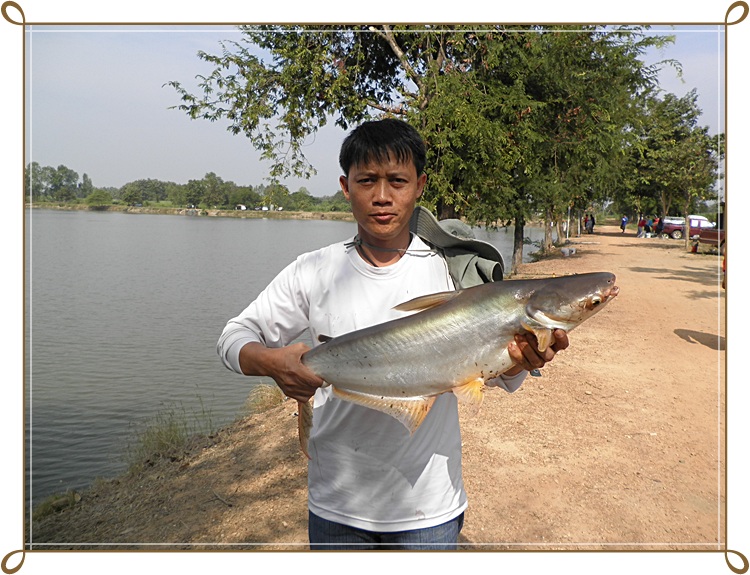 สัปดาห์แรกของ อ่างเก็บน้ำบึงสนม