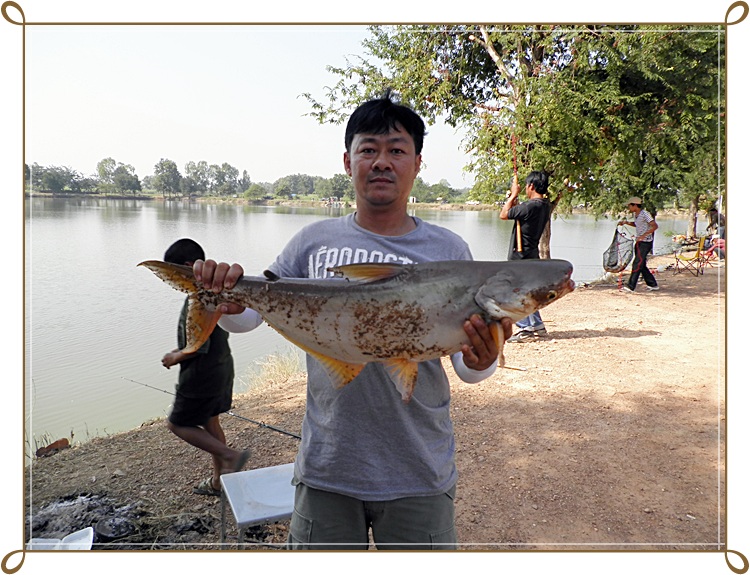 สัปดาห์แรกของ อ่างเก็บน้ำบึงสนม