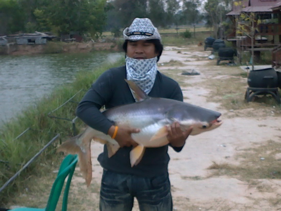 ตกมาตั้งนานกว่าจะโดน    ร้อยเอ็ดเด้อครับ