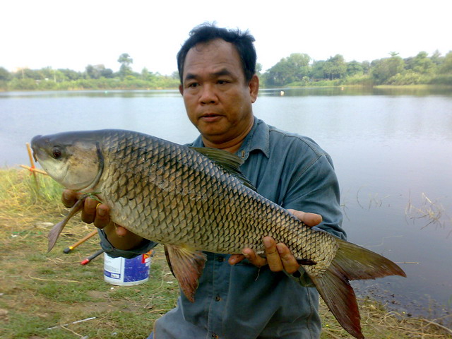ลมเปลี่ยนทิศ ที่บ่อลุงเอก เจ้าค่ะ