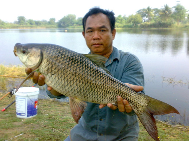 ลมเปลี่ยนทิศ ที่บ่อลุงเอก เจ้าค่ะ
