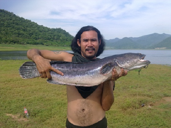 ณ เขื่อนปราณฯ...ตอน   ชะโดโห๊ดโหด  กระสูบดุ๊ดุ