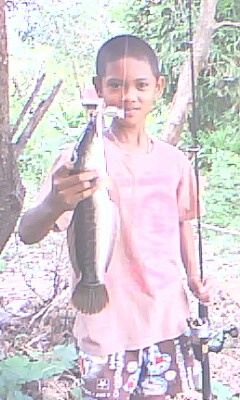 เด็กน้อยกับซัมโดป๊อก