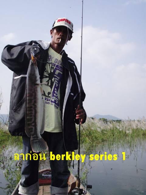 อำลา berkley series 1 