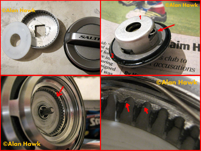 Daiwa Saltiga 2011 by Alan hawk