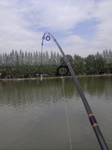 เพิ่งหัดตกคร้า