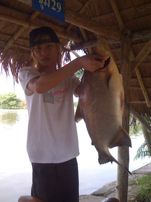 จระเม็ดเมืองแพร่