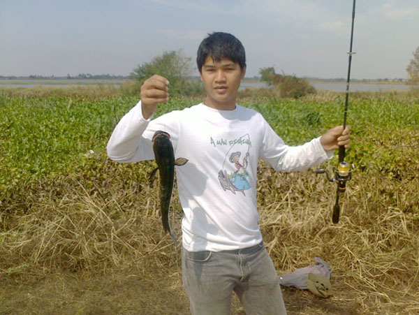 ทดสอบส่งภาพ2010