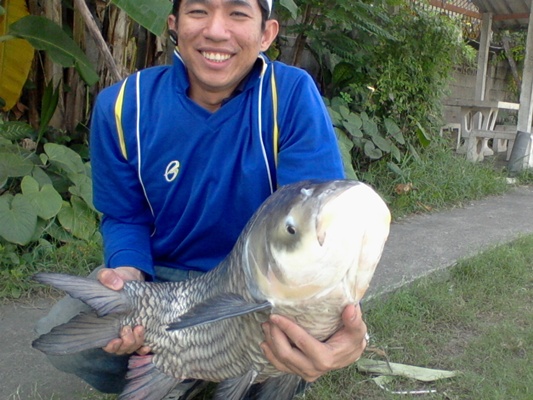 ปิ๋ว กะโห้ ได้ ช้าง