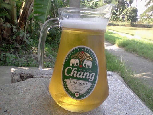 ปิ๋ว กะโห้ ได้ ช้าง