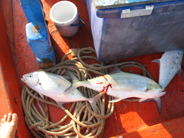 ไปชงชาทีสัตหีบไต๋สมชาย 28 ธันวาคม