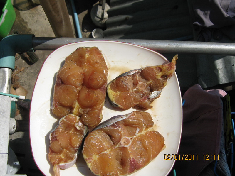 ปีใหม่ของพวกเราครับ @เรือนแพฟิชชิ่ง