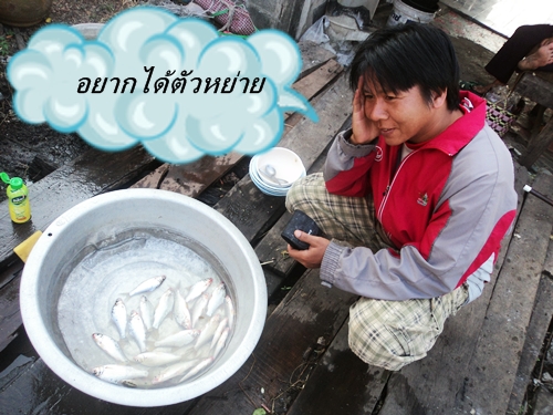 เหมือนเดิม (พิจารณา โลโก้ให้ด้วยครับ)