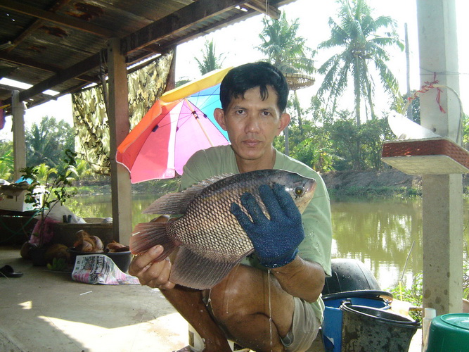 รวมปลาวันหยุดครับ