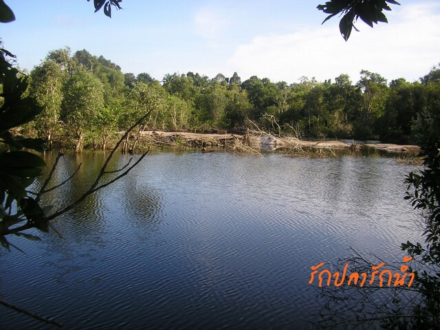 อุ่นเครืองปีใหม่2554