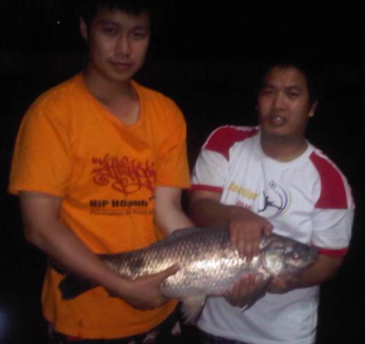 รถถังดำ-ขาว มันมาเป็นกองทัพ......
