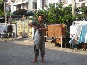 ปลากะพงครับ