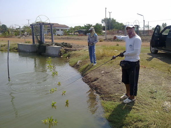 กะพง+กุเรา ต้อนรับปีใหม่กับงามไส้แก๊งค์ครับ...!