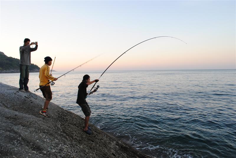 Tips For Rock Fishing 