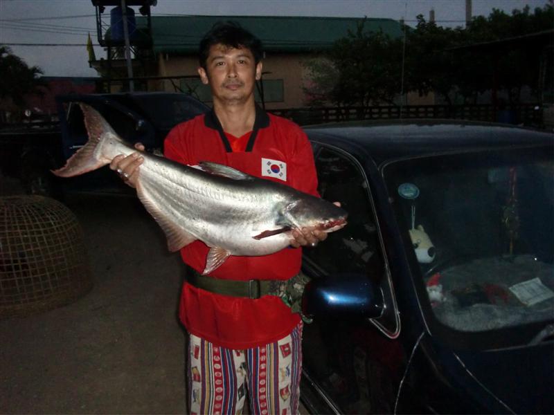 ฟ้าสางที่พันเสด็จ  2