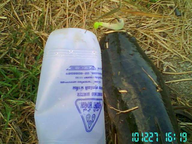 ลองทำ ลองเทส ภาพรวม