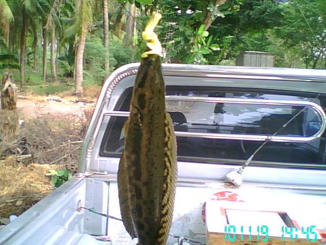 ลองทำ ลองเทส ภาพรวม