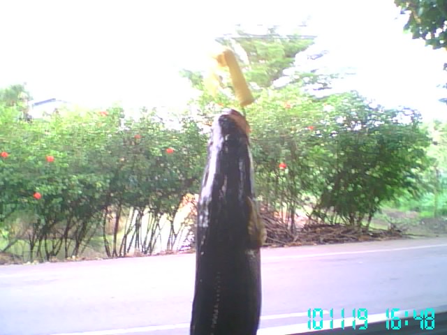 ลองทำ ลองเทส ภาพรวม