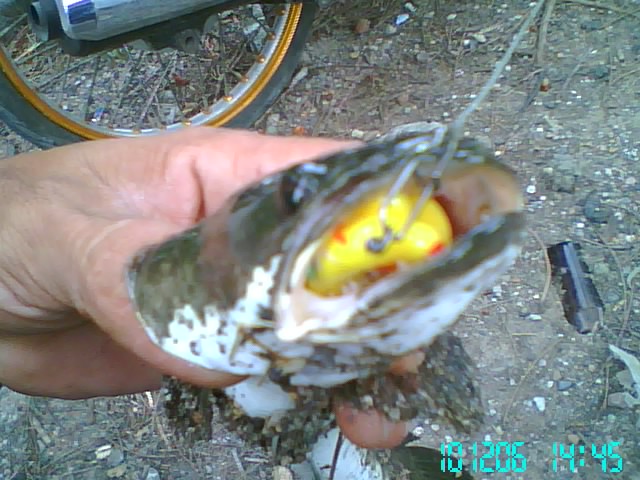ลองทำ ลองเทส ภาพรวม