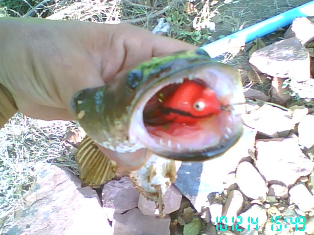 ลองทำ ลองเทส ภาพรวม