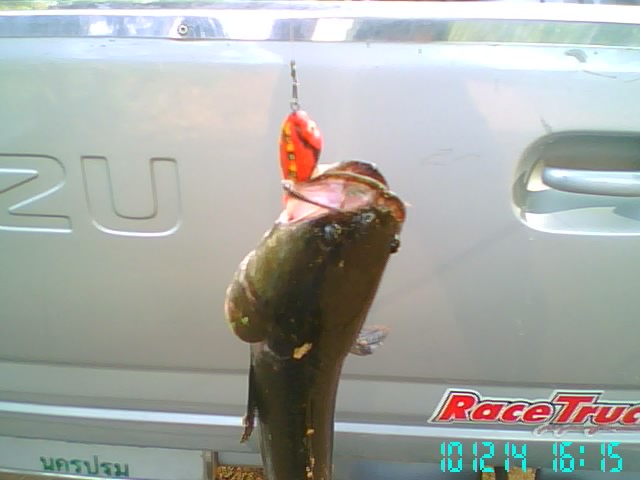 ลองทำ ลองเทส ภาพรวม