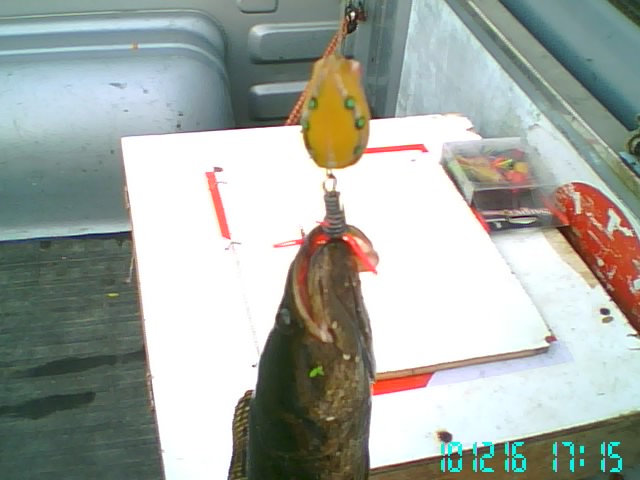 ลองทำ ลองเทส ภาพรวม