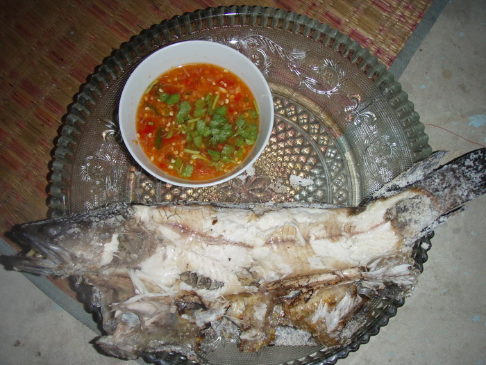 พาน้องกบไปหามื้อเย็น ข้างถนน