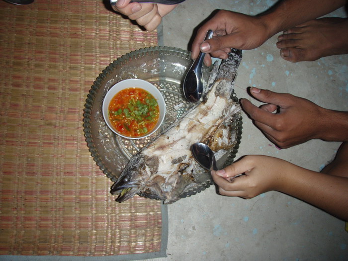พาน้องกบไปหามื้อเย็น ข้างถนน
