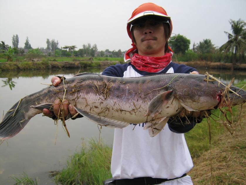 บ่อตกปลาชวนชม