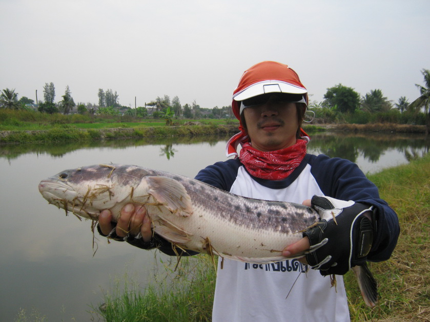 บ่อตกปลาชวนชม