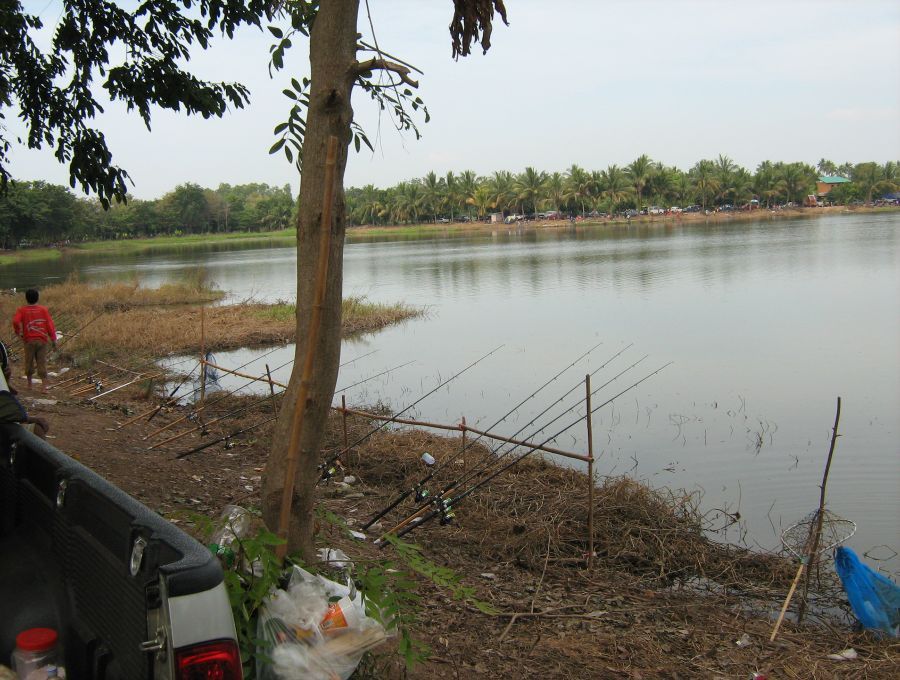 ยี่สกใหญ่และจีนหนองหนูจ.พิจิตร
