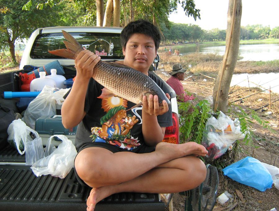 ยี่สกใหญ่และจีนหนองหนูจ.พิจิตร