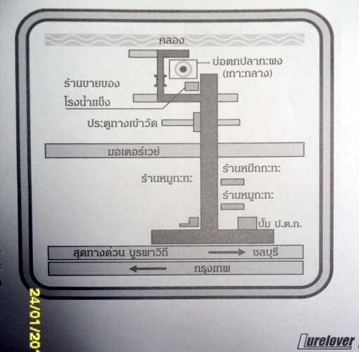 บ่อพี่นึก พานทอง (บ่อเกาะกลาง)