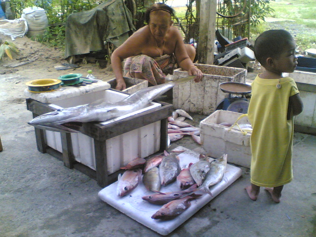 ภาพเก่าเล่าใหม่ครับ