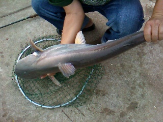 น้องมันช่วนไปนั่งเล่น