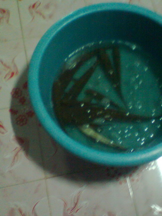 ตกปลาห้วยเดื่อ