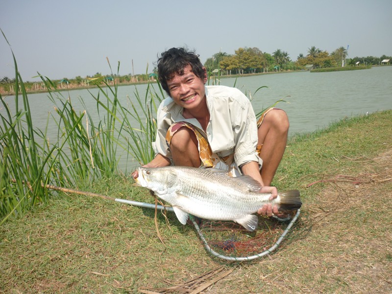 หาปลากรายทอดมันวันตรุษจีน...