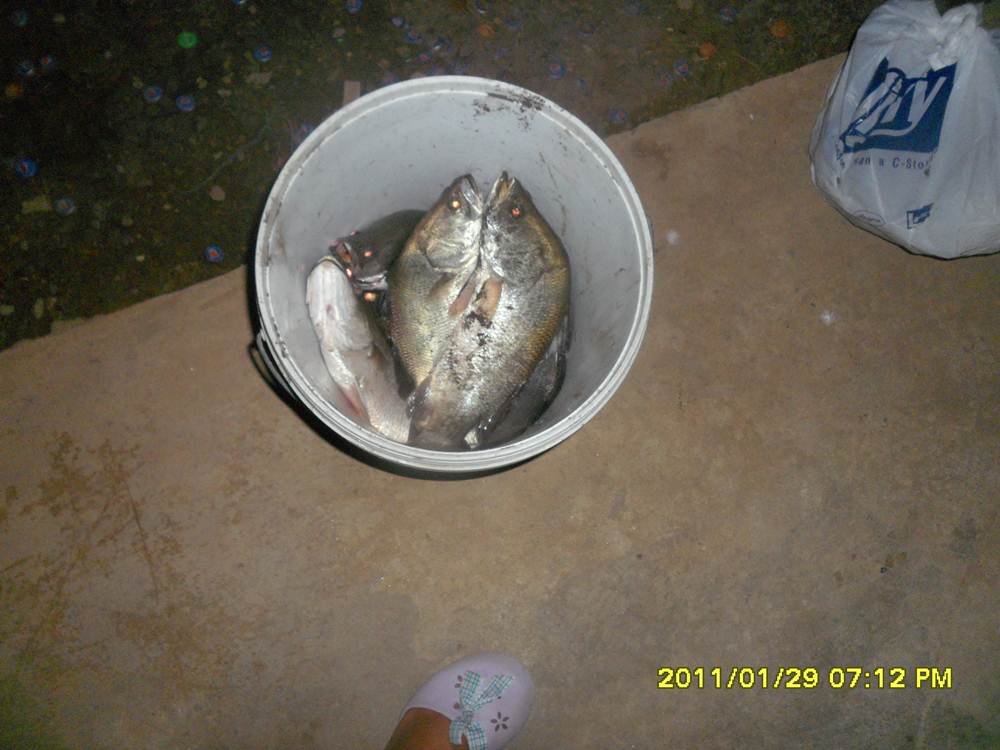 ....กระพง...น้องพลอย...คร๊าบบบบ...