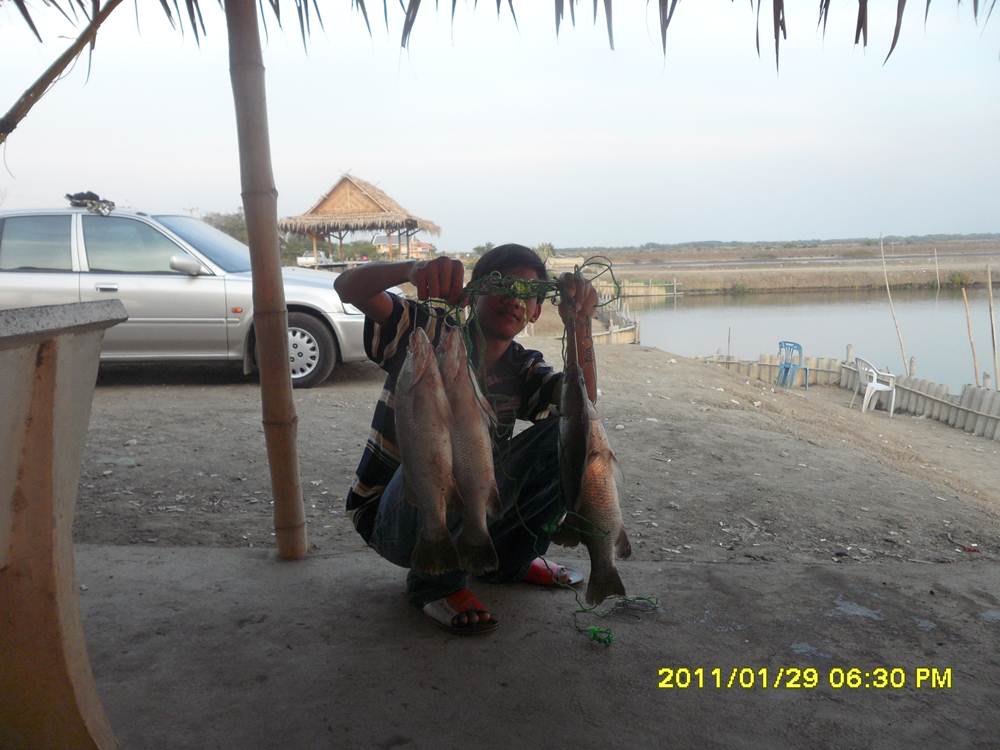 ....กระพง...น้องพลอย...คร๊าบบบบ...