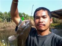 เท็กซัสตัวแรก(ทดลองส่ง)