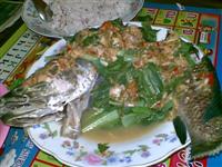 เท็กซัสตัวแรก(ทดลองส่ง)
