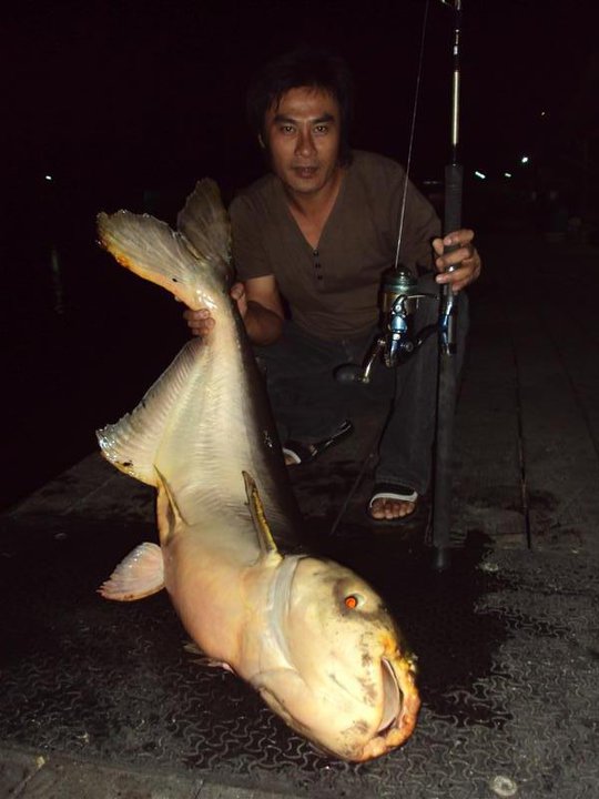 Bueng Samrarn Fishing Park