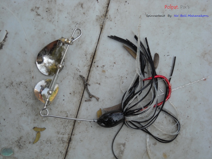 ไป >>>>> เทสเหยื่อ Spinner Bait  
