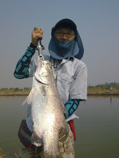 มีปลามาฝากครับ