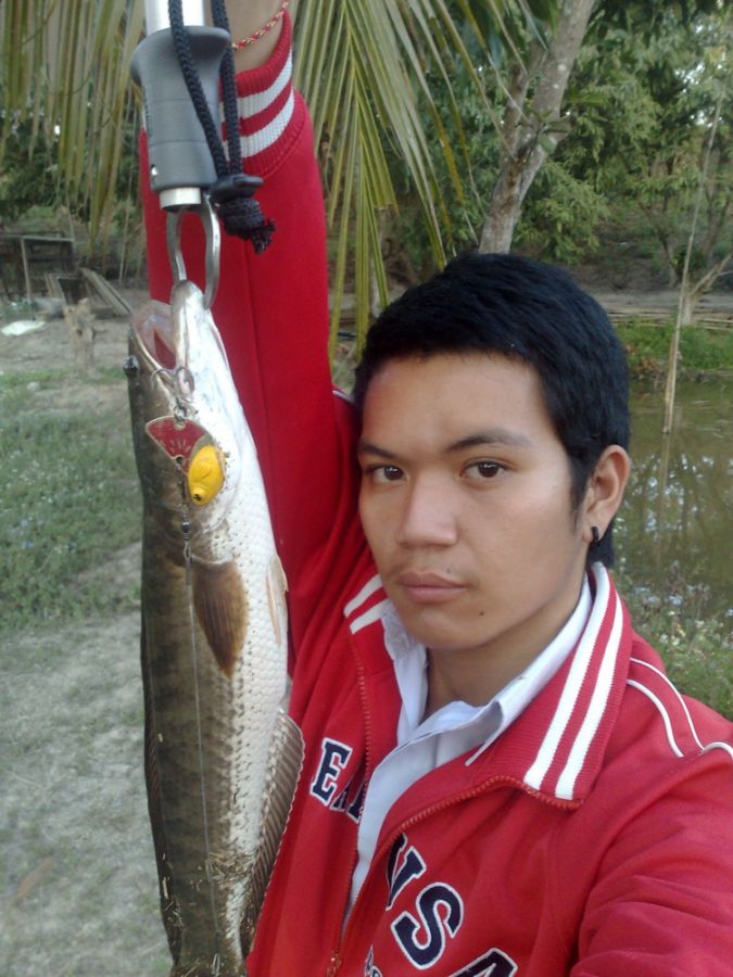  ปลาช่อนวันเบาๆ